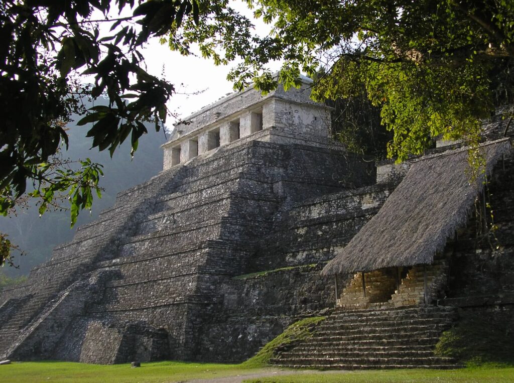 Mexico-tour-Mexico_jungle of Palenque